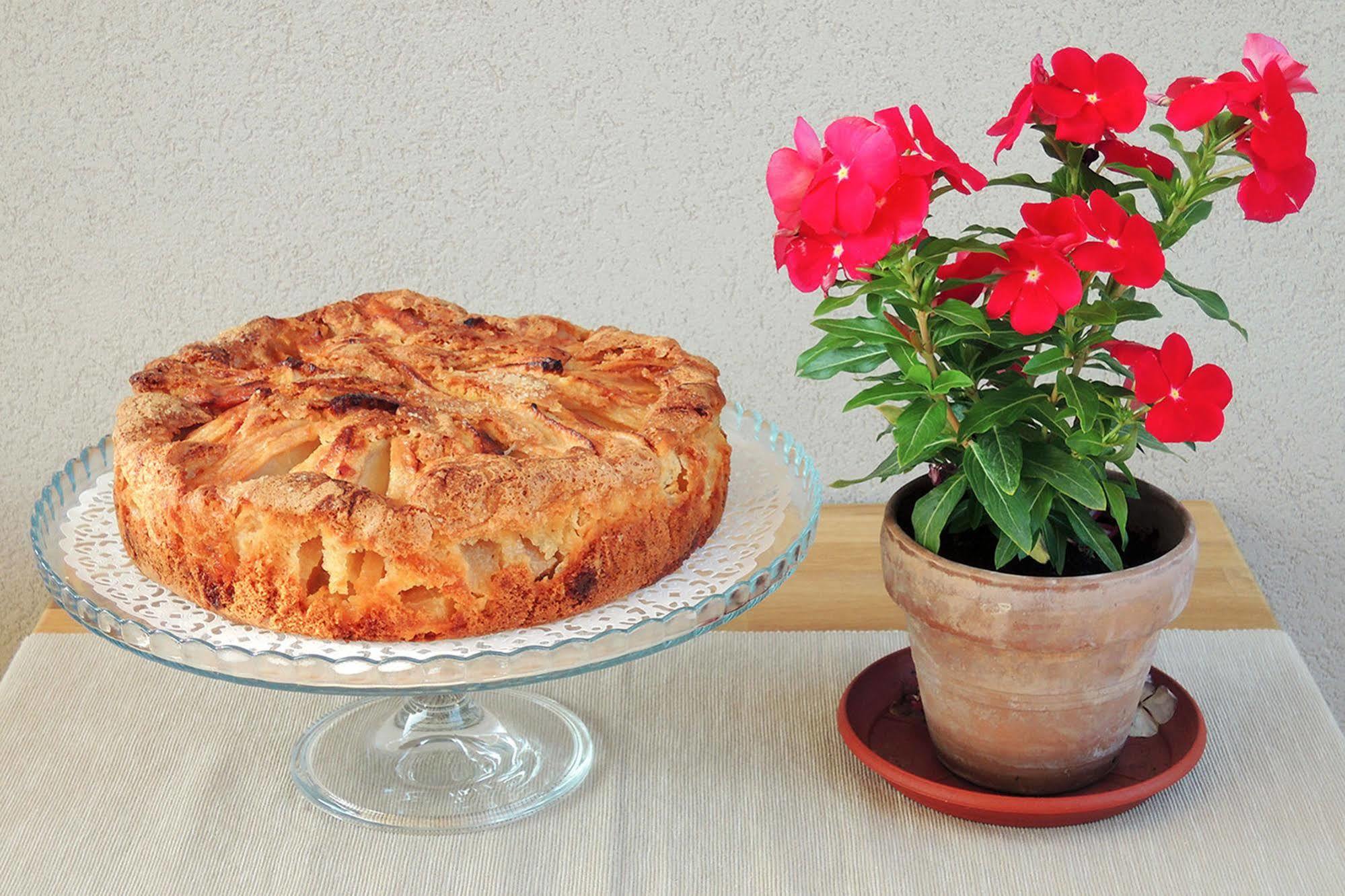 Terrasole Bakery B&B Terrasini Eksteriør billede